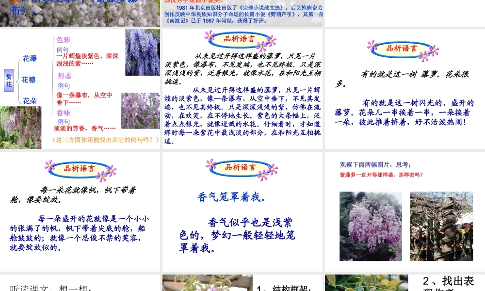 《紫藤萝瀑布》PPT