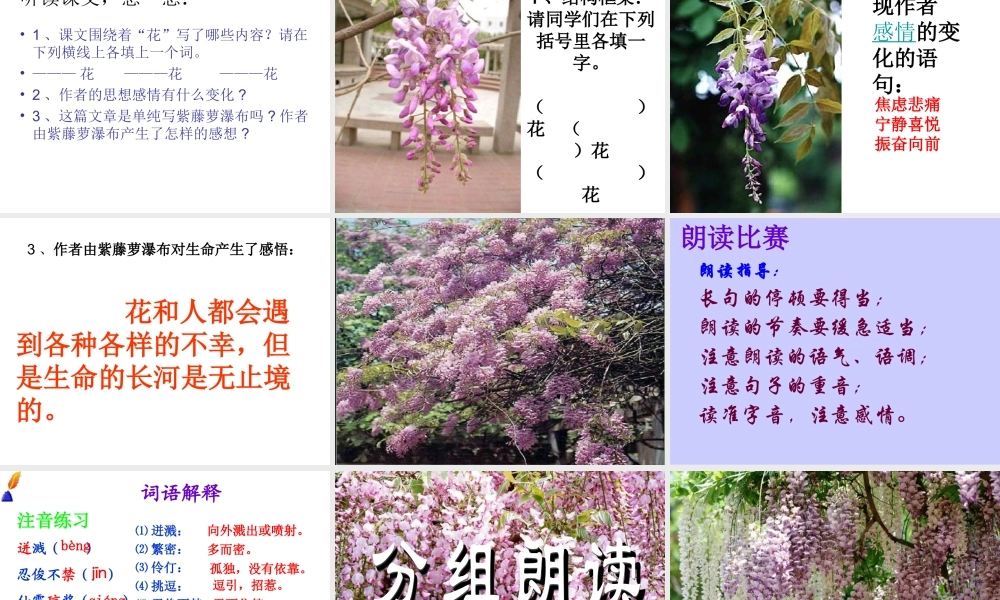 《紫藤萝瀑布》PPT