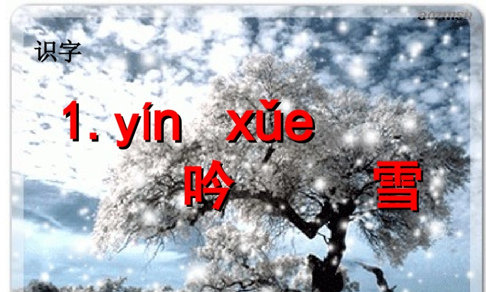 吟雪课件第一课时