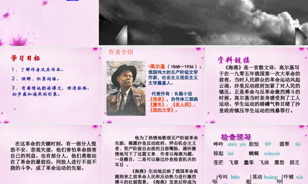 八年级语文下册 第9课(海燕)课件 新人教版 课件