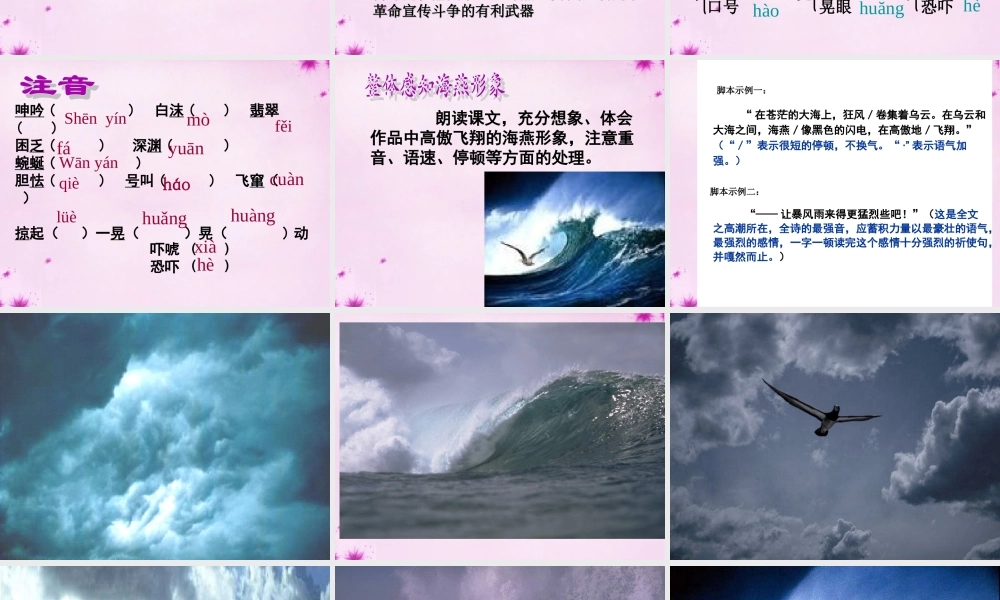 八年级语文下册 第9课(海燕)课件 新人教版 课件