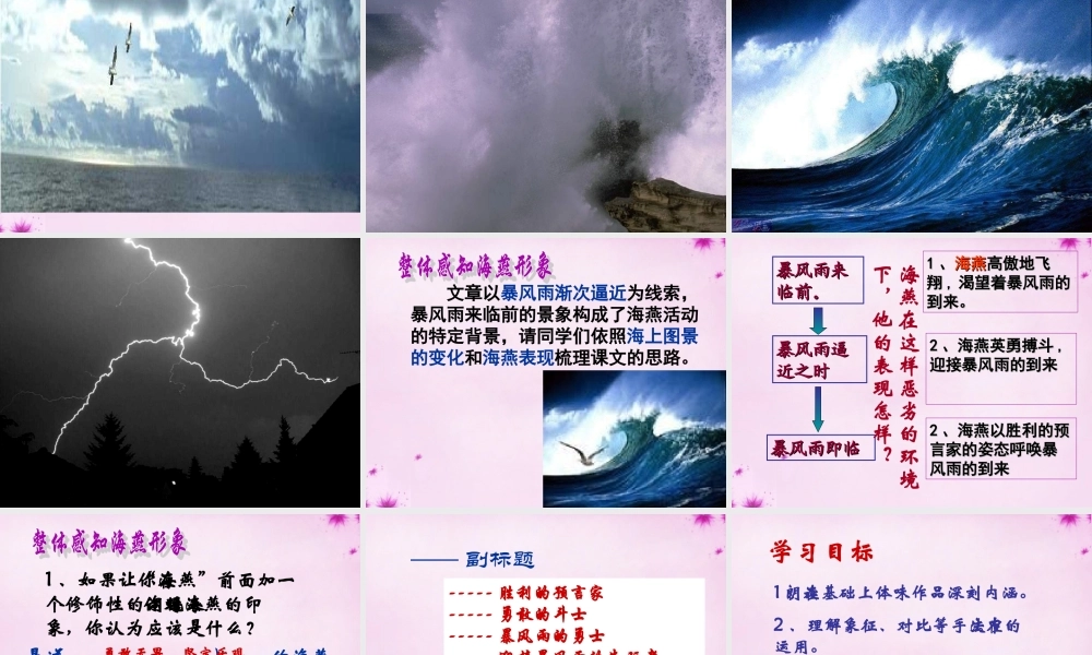 八年级语文下册 第9课(海燕)课件 新人教版 课件