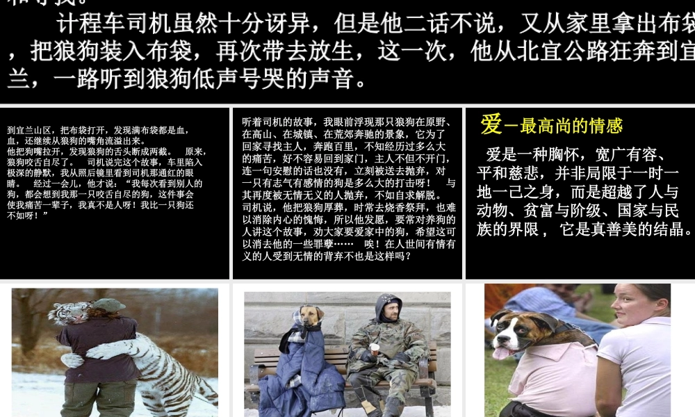 《山羊兹拉特》2