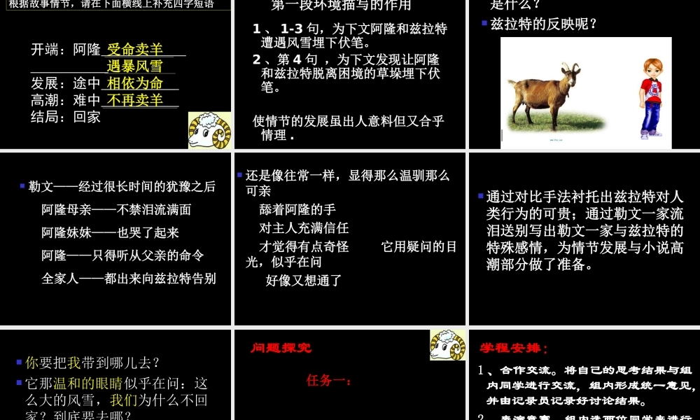 《山羊兹拉特》2