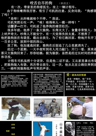 《山羊兹拉特》2