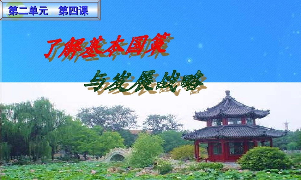 九年级政治 第四课(了解基本国策与发展战略)复习课件  人教新课标版 课件