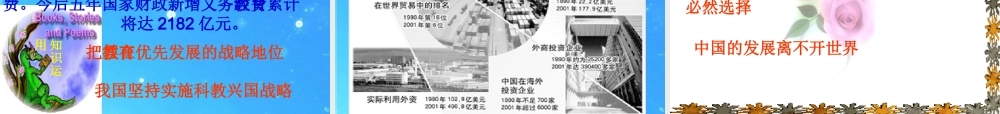 九年级政治 第四课(了解基本国策与发展战略)复习课件  人教新课标版 课件