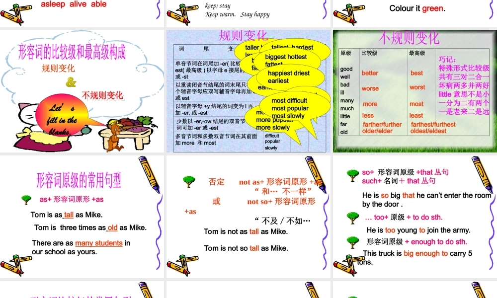 初中英语中考(形容词和副词)复习课件