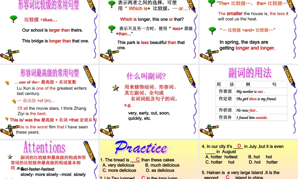 初中英语中考(形容词和副词)复习课件