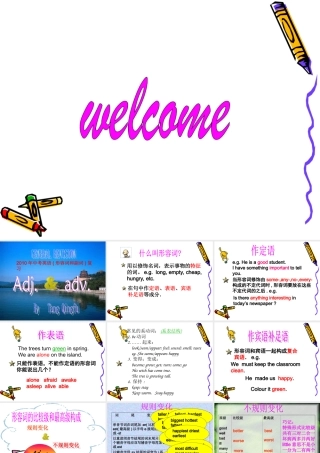 初中英语中考(形容词和副词)复习课件