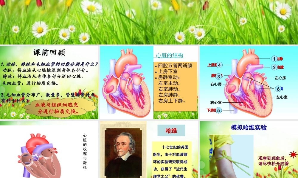 科学家的故事-血液循环的发现