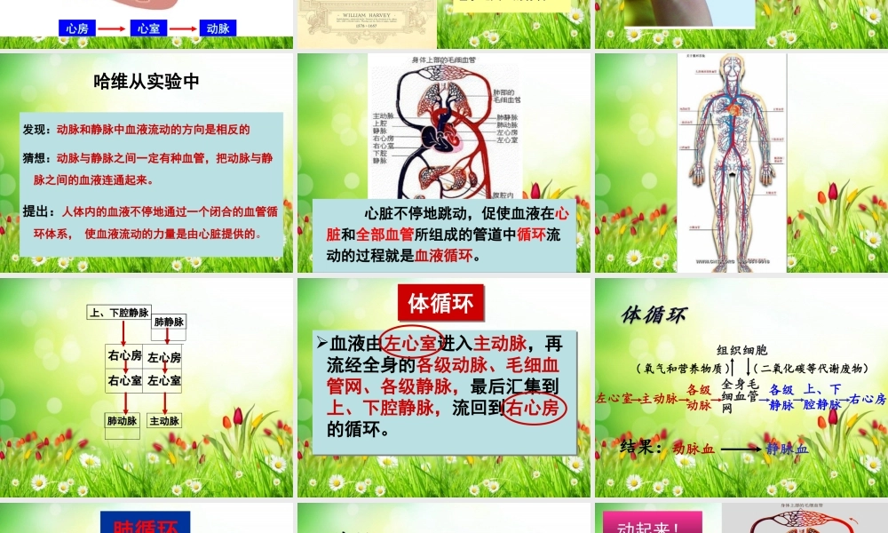 科学家的故事-血液循环的发现