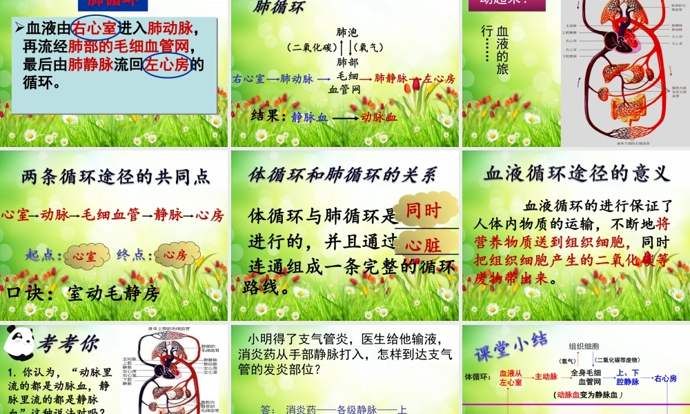 科学家的故事-血液循环的发现