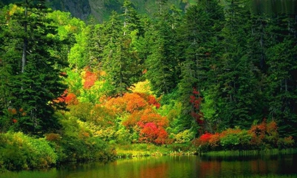 七年级数学平方根课件3 浙教版 课件