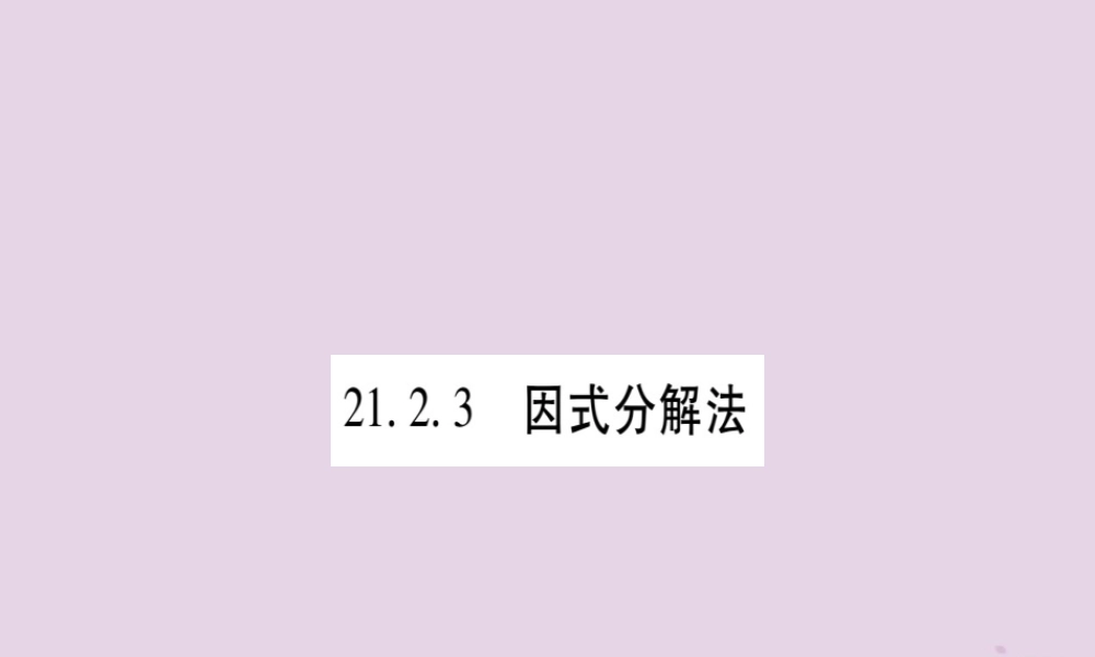 九年级数学上册 第二十一章 一元二次方程 212 解一元二次方程 2123 因式分解法作业课件 (新版)新人教版 课件