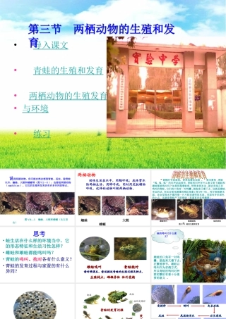 八年级生物下第三节 两栖动物的生殖和发育课件人教版 课件