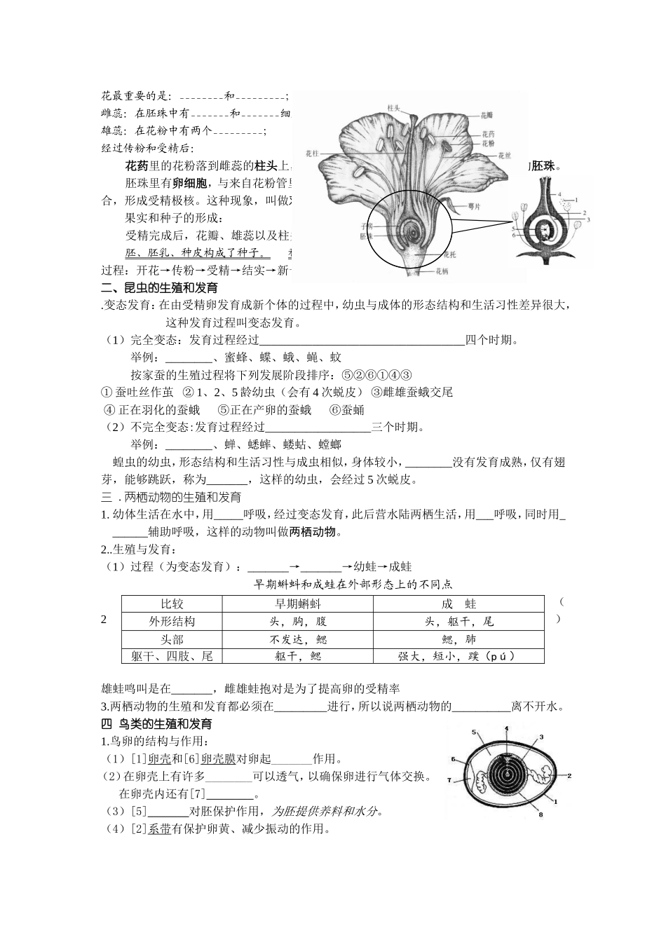 八上复习提纲_第2页