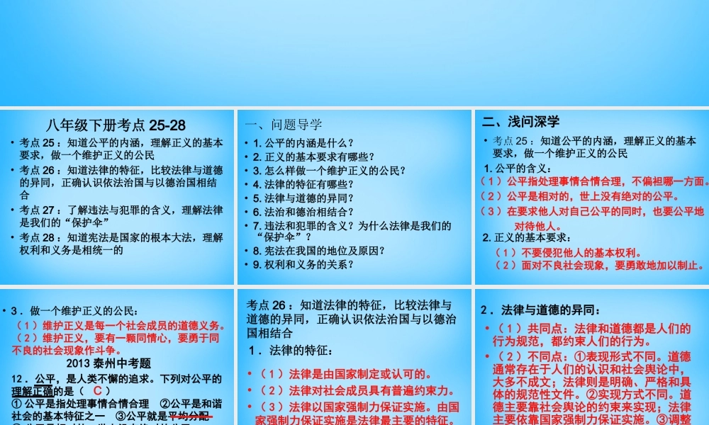 中考政治 八下 考点25 28复习课件