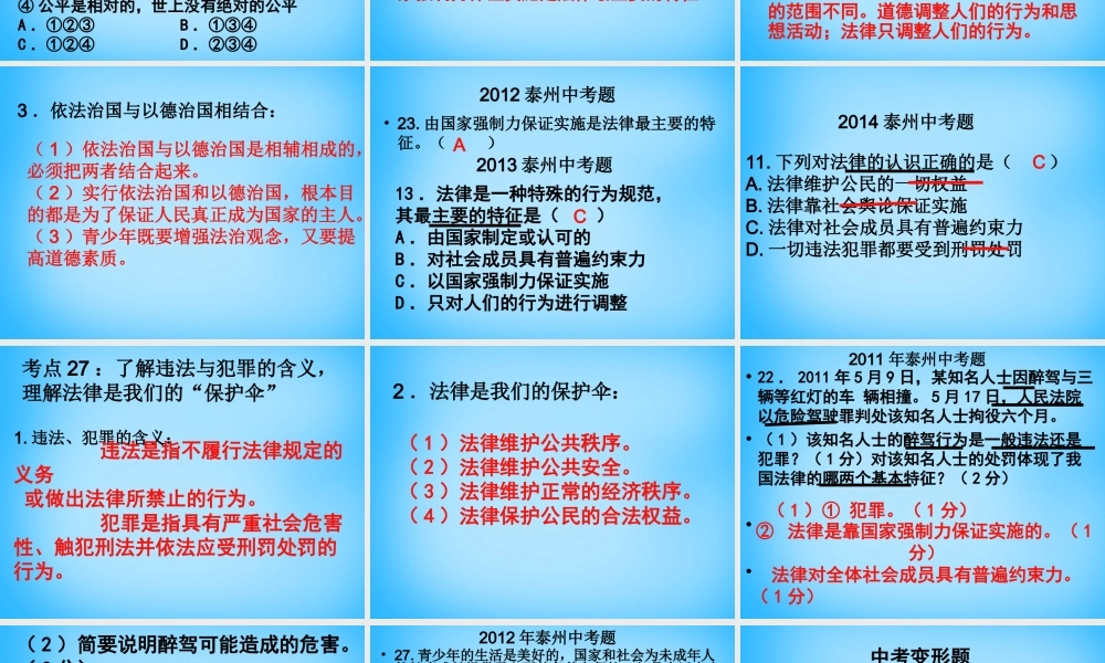 中考政治 八下 考点25 28复习课件
