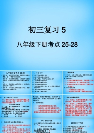 中考政治 八下 考点25 28复习课件