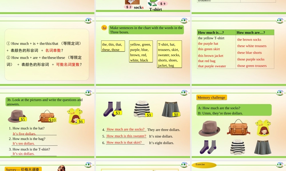 SectionAGrammarfocus3a—3c-(5)