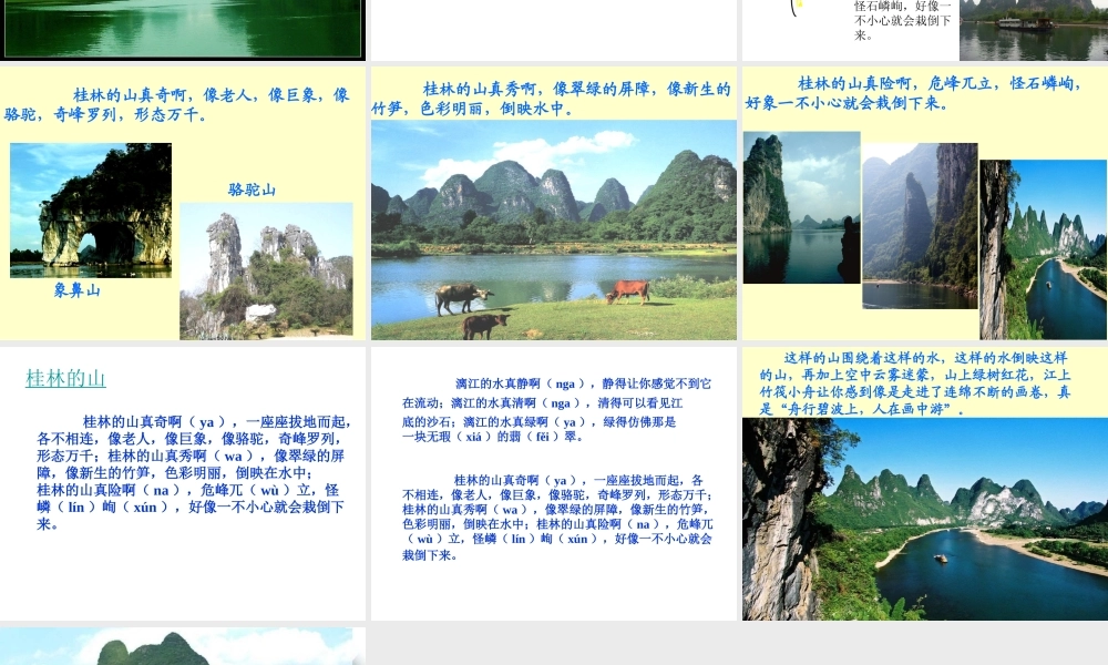 桂林山水教学案例