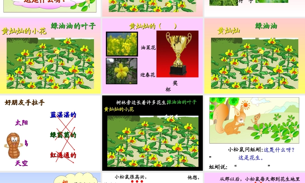 《小松鼠找花生果》教学演示课件