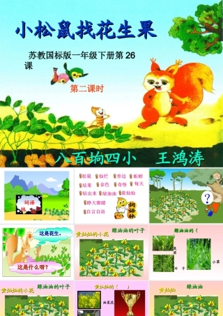 《小松鼠找花生果》教学演示课件