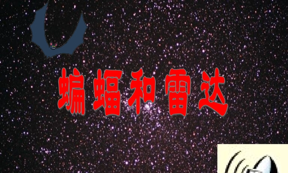 蝙蝠和雷达教学课件
