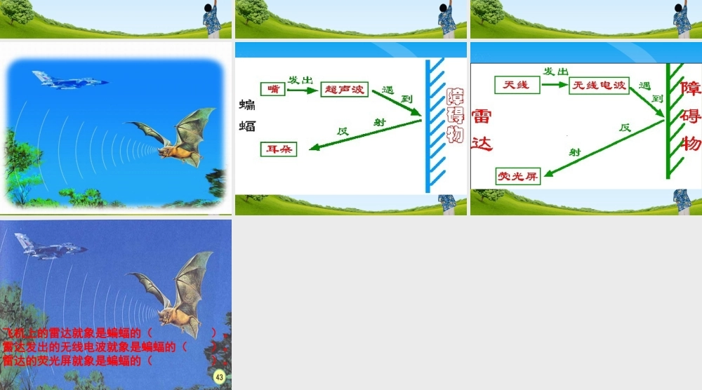 蝙蝠和雷达教学课件