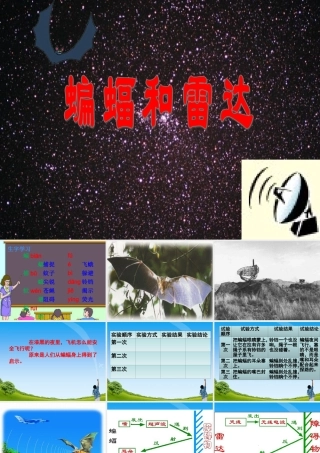 蝙蝠和雷达教学课件