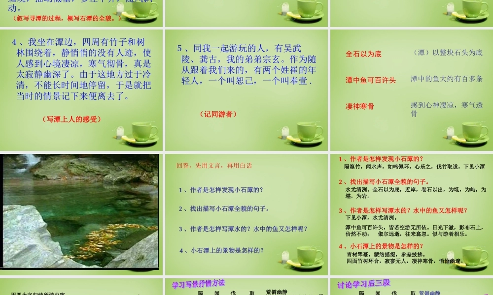 八年级语文上册 5.24 小石潭记课件 鲁教版 课件