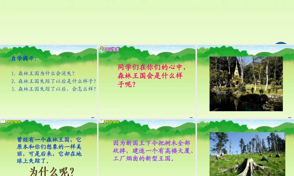 小学语文三年级课件-失踪的森林王国-北师大版