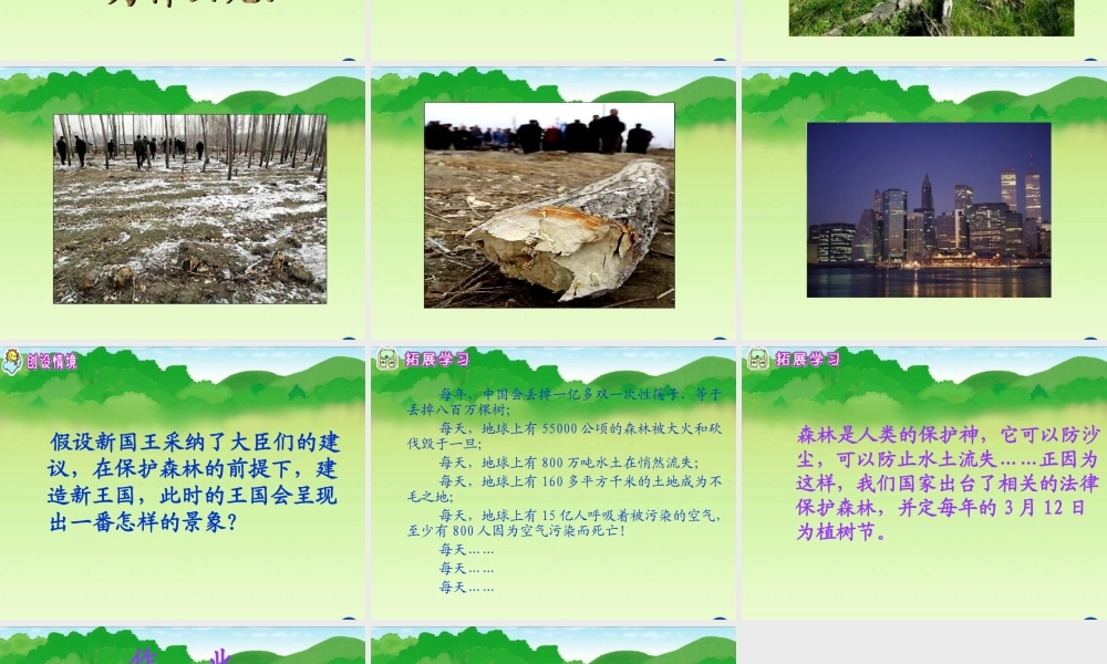 小学语文三年级课件-失踪的森林王国-北师大版