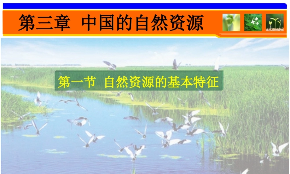 中国的自然资源特征