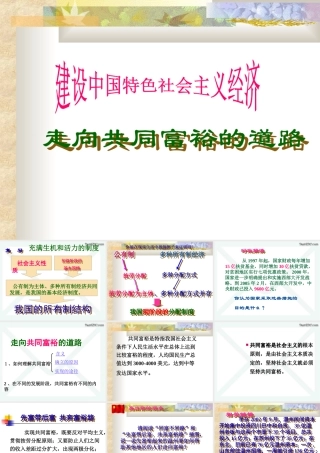 初三政治建设中国特色社会主义2 课件