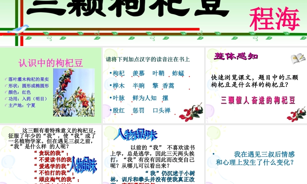 七年级语文下册第二单元三颗枸杞豆课件苏教版 试题