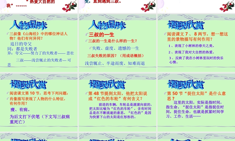 七年级语文下册第二单元三颗枸杞豆课件苏教版 试题