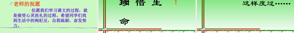 七年级语文下册第二单元三颗枸杞豆课件苏教版 试题