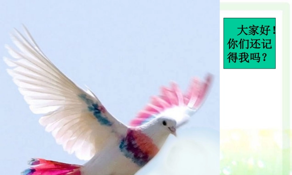 第一单元编写故事