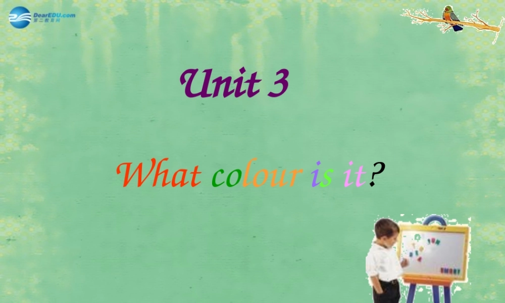 七年级英语上册 Starter Module 3 Unit 3 What colour is it？课件 (新版)外研版 课件