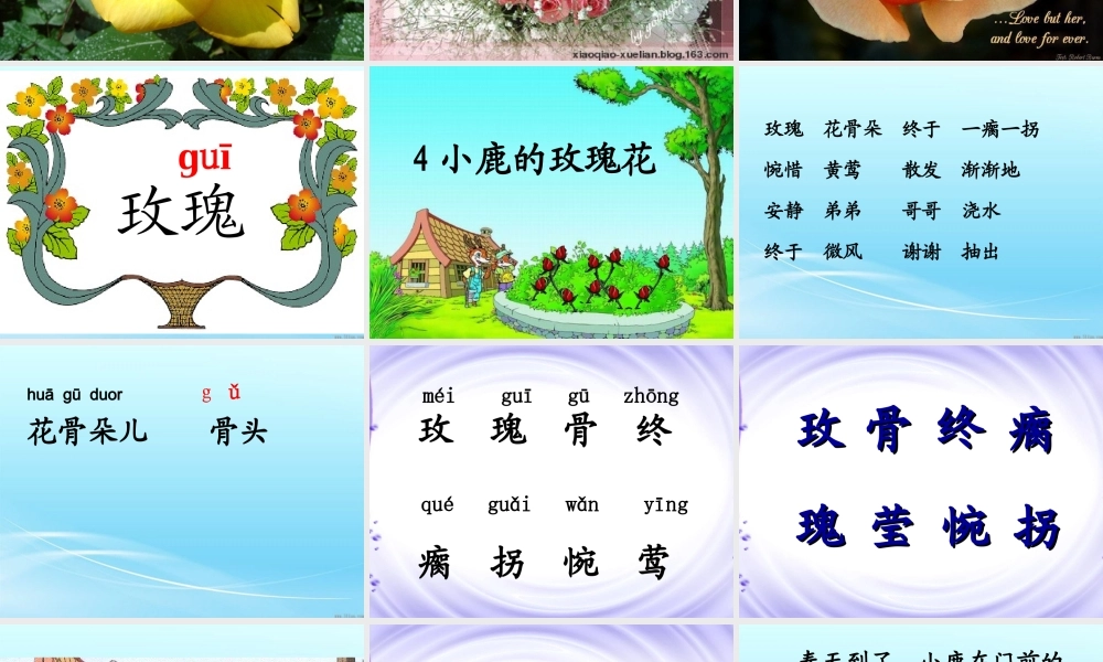 小鹿的玫瑰花课件 
