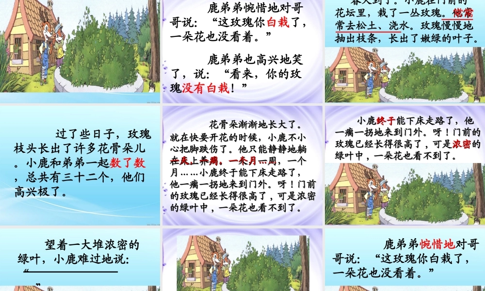 小鹿的玫瑰花课件 