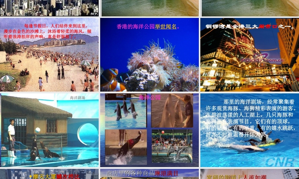 《东方之珠》PPT课件