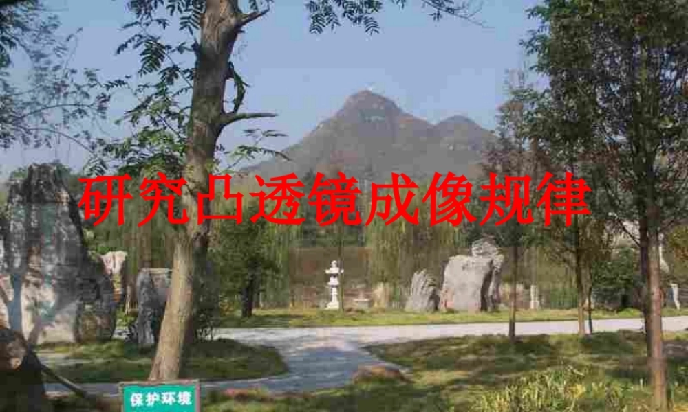 八年级物理上册 (探究凸透镜成像的规律)课件 人教新课标版 课件