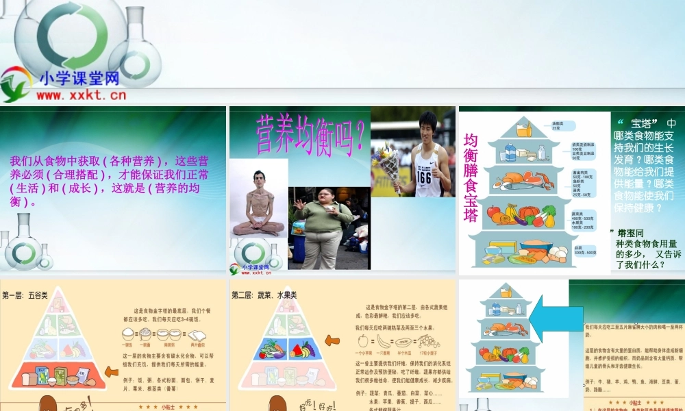 四年级科学下册《营养要均衡》PPT课件之二（教科版）