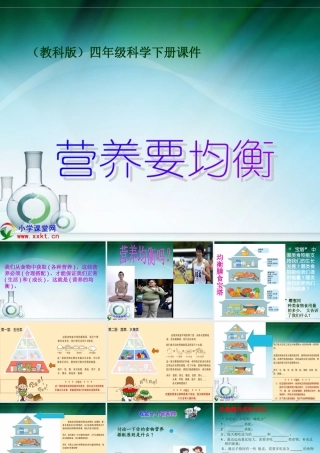 四年级科学下册《营养要均衡》PPT课件之二（教科版）