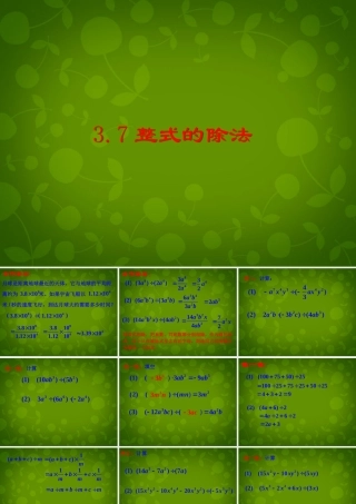 七年级数学下册 3.7 整式的除法课件3 (新版)浙教版 课件