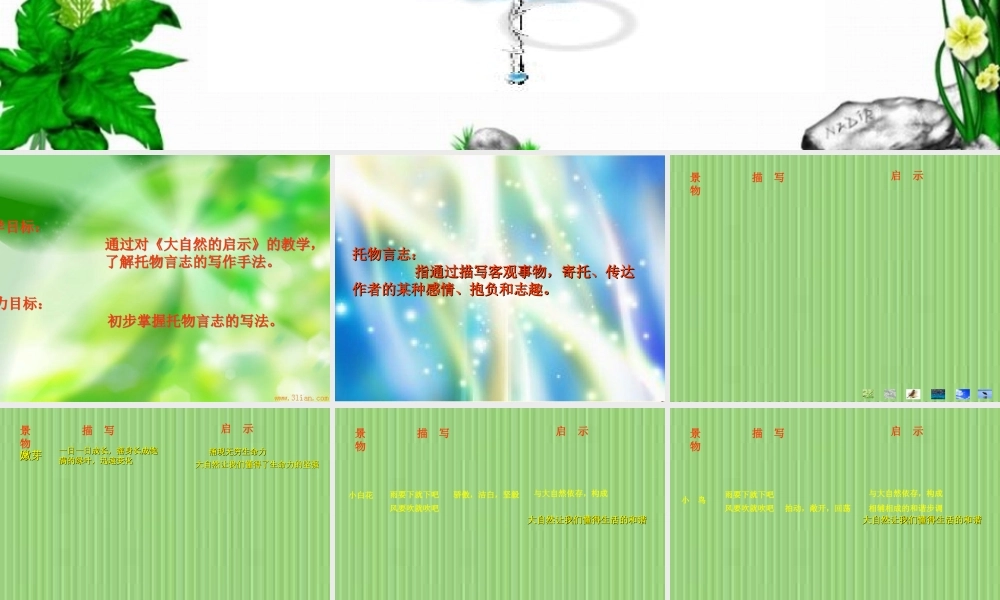 七年级语文下册 第10课(大自然的启示)课件 鄂教版 课件