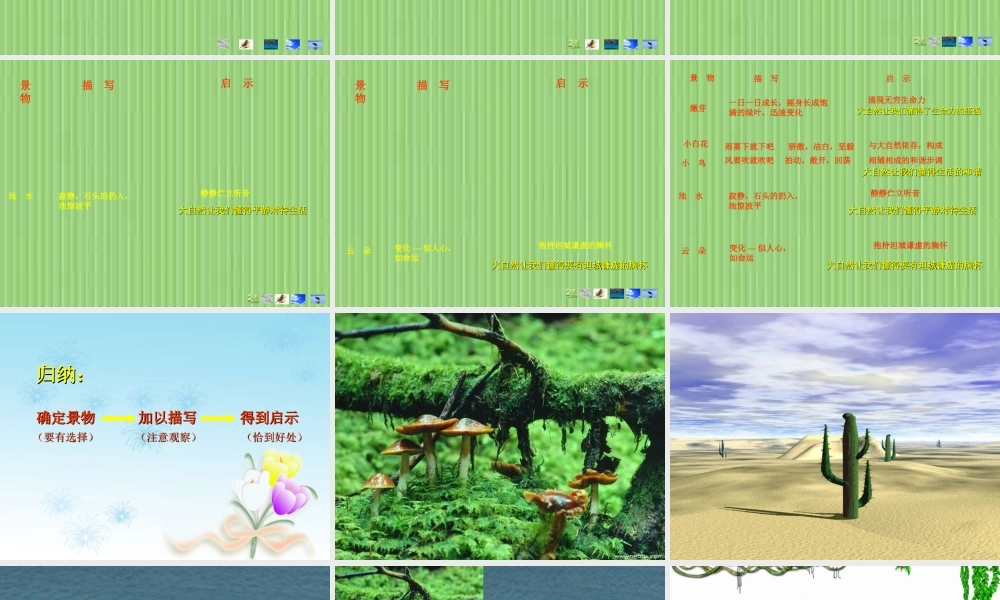 七年级语文下册 第10课(大自然的启示)课件 鄂教版 课件